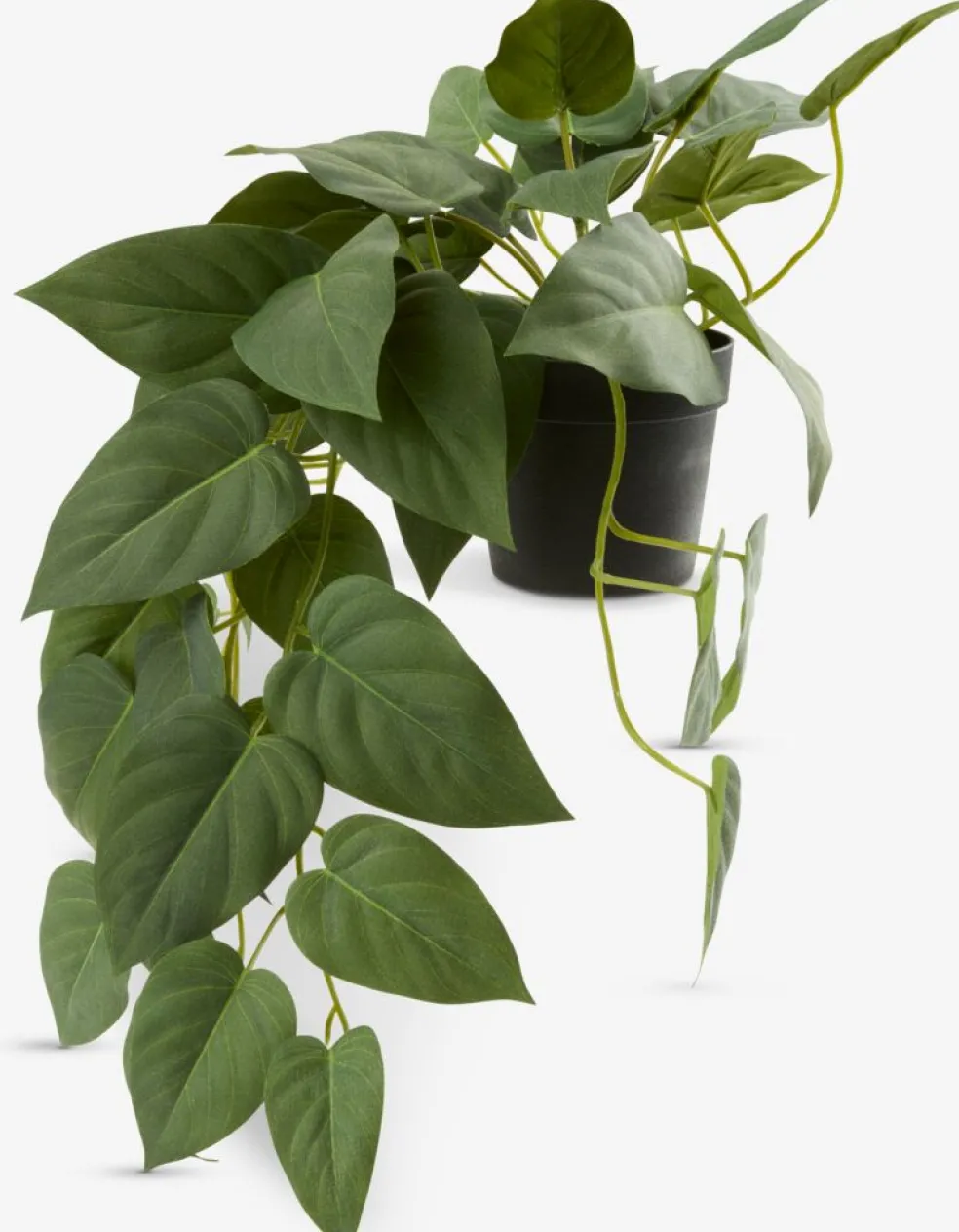 ANDERSENPlante artificielle ANDERSEN L43cm à suspendre