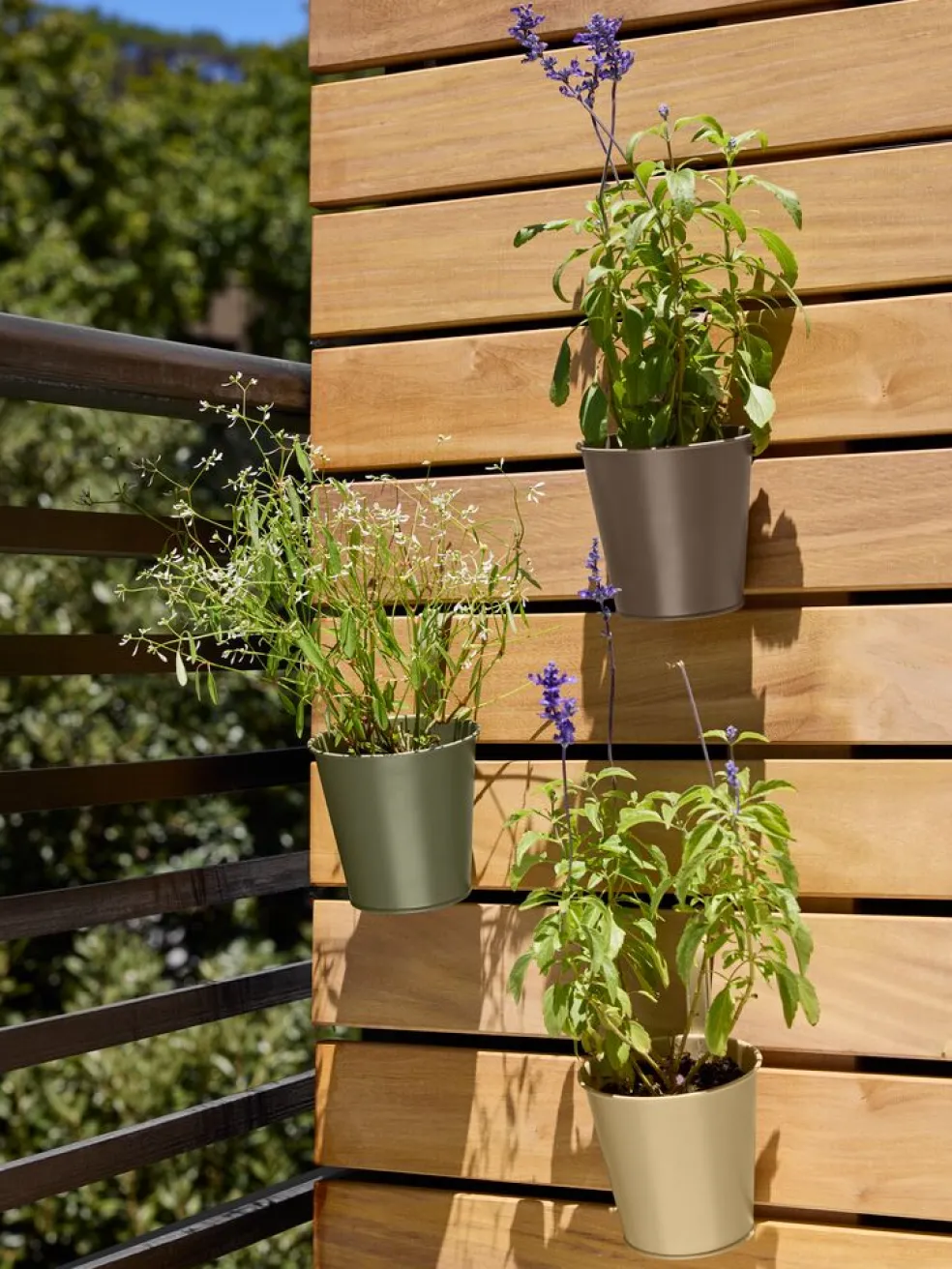 BILLEJardinière de balcon BILLE Ø12xH19 assorti