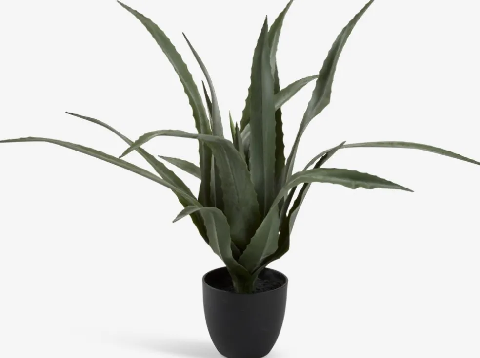 CELIUSPlante artificielle CELIUS H65cm aloe vera