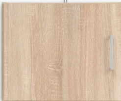 FANDRUPMeuble haut FANDRUP 50x41 1 porte coloris chêne clair
