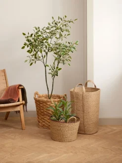 GUNNULFPlante artificielle GUNNULF H150cm a/pot