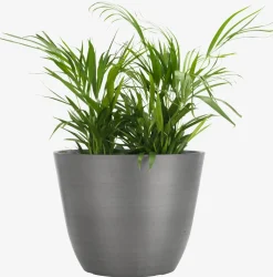 HVEPSBac à fleurs HVEPS Ø53xH41 gris
