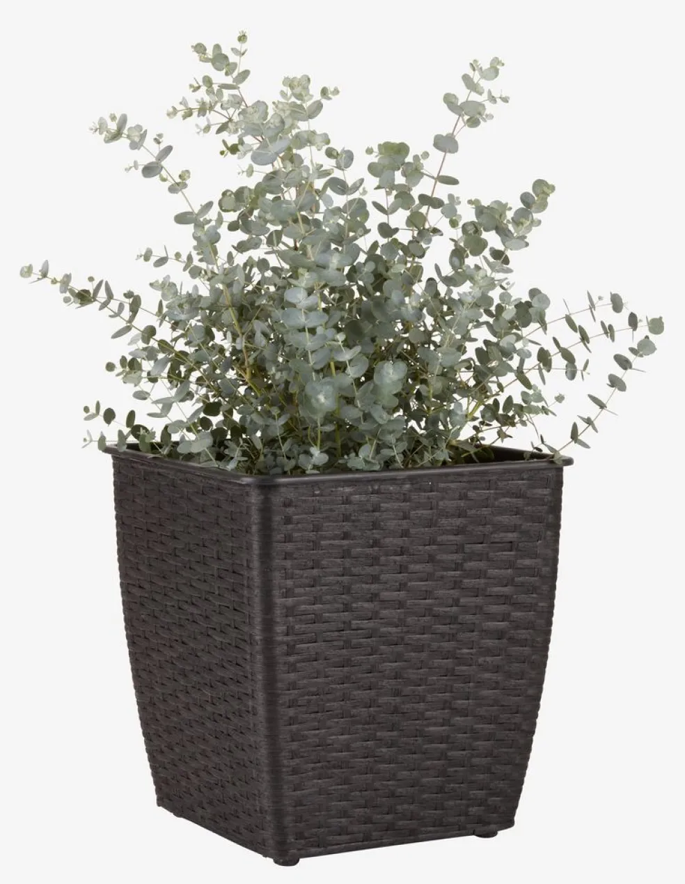 ISLOMPanier pour plantes ISLOM 31x31x32 assorti