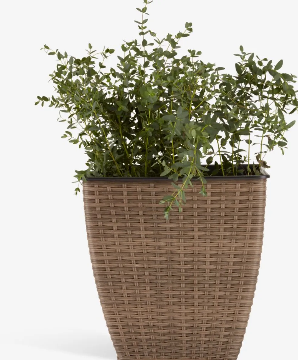 ISLOMPanier pour plantes ISLOM 38x38x39 assorti