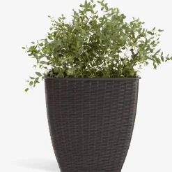 ISLOMPanier pour plantes ISLOM 38x38x39 assorti
