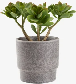 JOSTEINPlante artificielle JOSTEIN H23cm vert