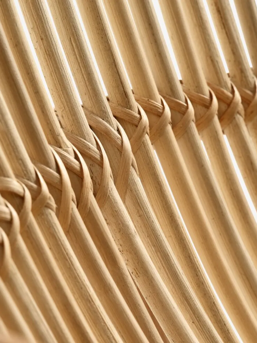 LISELEJEFauteuil LISELEJE dossier haut naturel