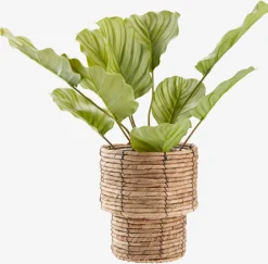 ROLFPlante artificielle ROLF H55cm vert