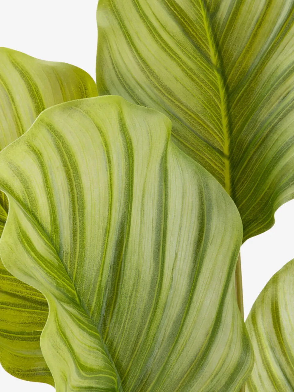ROLFPlante artificielle ROLF H55cm vert