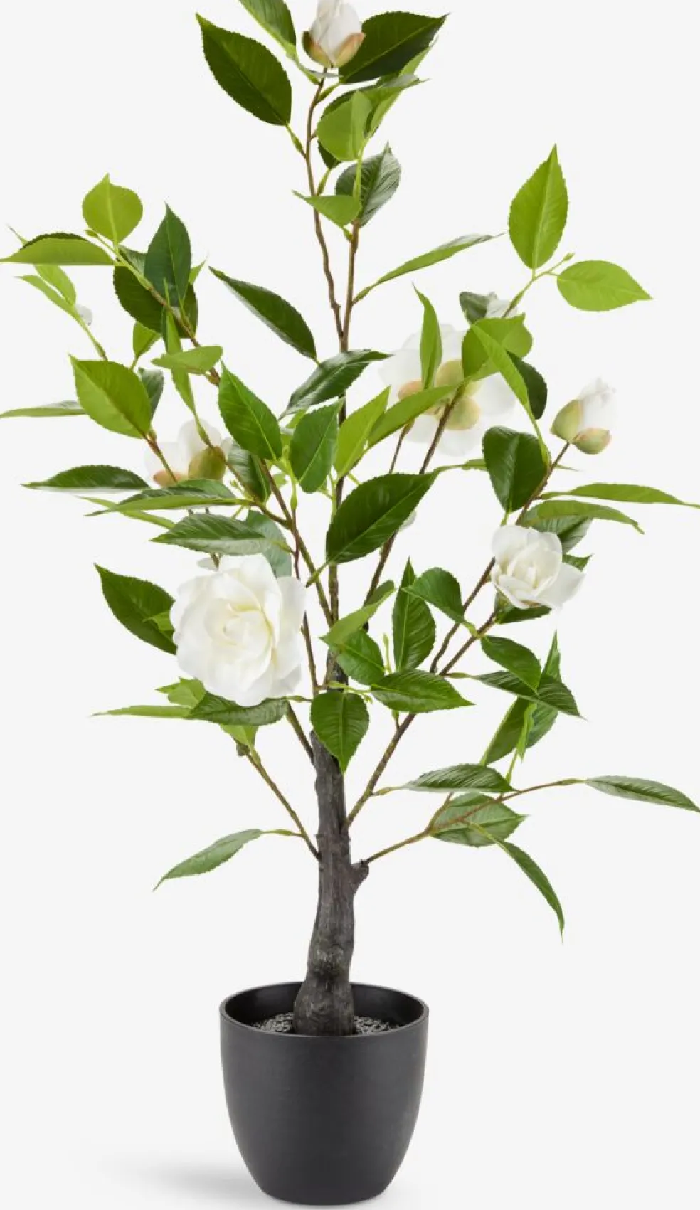 SOLOPGANGPlante artificielle SOLOPGANG H80 rose blanche