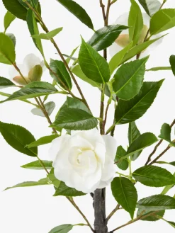SOLOPGANGPlante artificielle SOLOPGANG H80 rose blanche