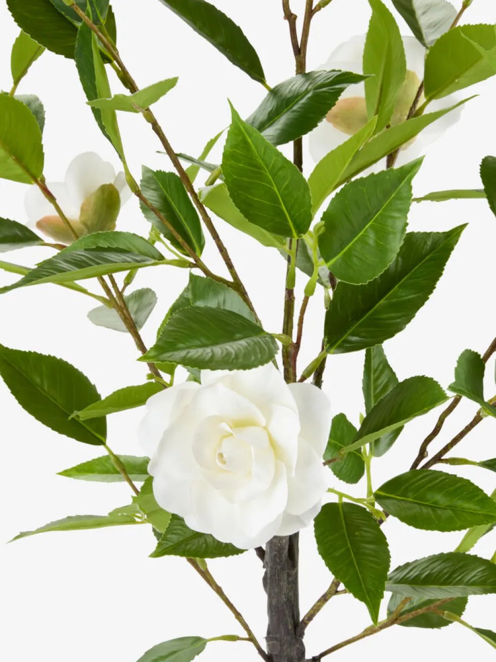 SOLOPGANGPlante artificielle SOLOPGANG H80 rose blanche