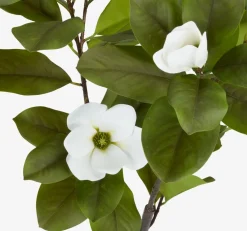 SPINDELPlante artificielle SPINDEL H120cm magnolia vert/blanc